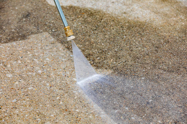 Best Animal Enclosure Cleaning  in K I Sawyer, MI